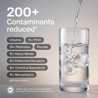Purea® Tap Filters Supply